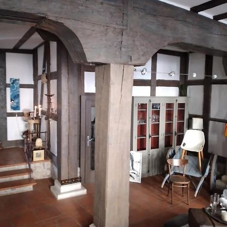 Appartement Historische Raume Uber Mittelaltergewolbe Mit Terrasse à Erfurt Extérieur photo