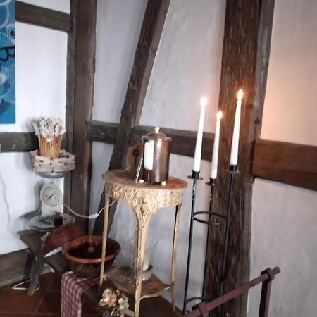 Appartement Historische Raume Uber Mittelaltergewolbe Mit Terrasse à Erfurt Extérieur photo