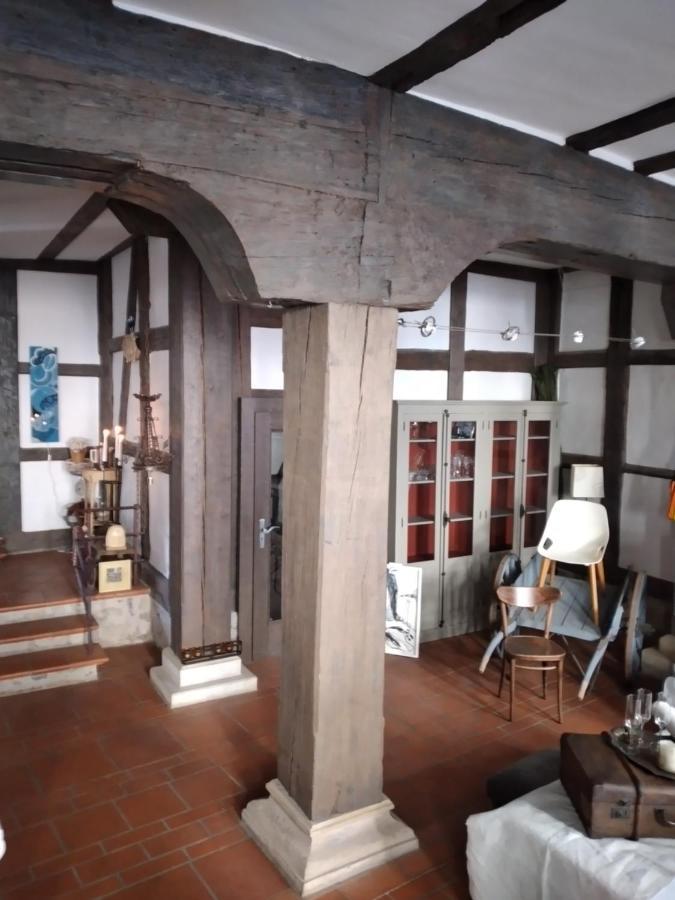 Appartement Historische Raume Uber Mittelaltergewolbe Mit Terrasse à Erfurt Extérieur photo