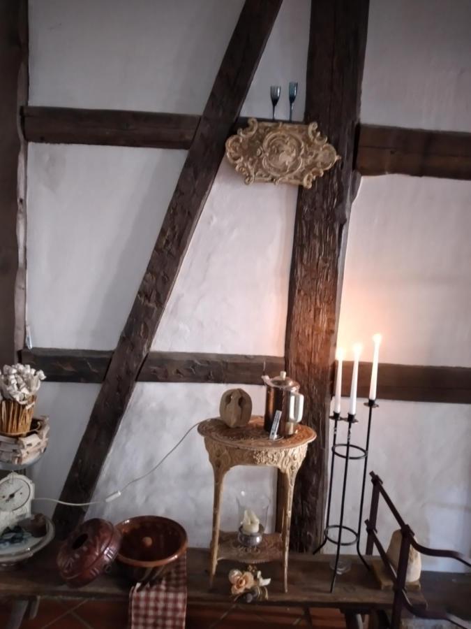 Appartement Historische Raume Uber Mittelaltergewolbe Mit Terrasse à Erfurt Extérieur photo